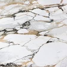 Calacatta Macchia Vecchia Marble